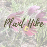 Plant Hike - logo